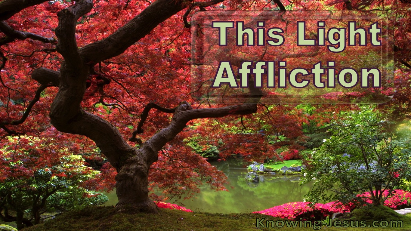 This Light Affliction (devotional)05-04 (pink)